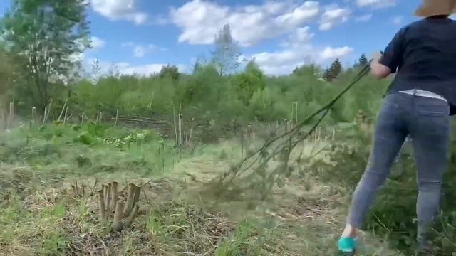 Купил заросший участок! Расчистка за 2 минуты!! смотреть онлайн