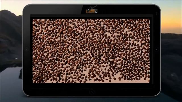 Меню_Я Люблю Кофе смотреть онлайн