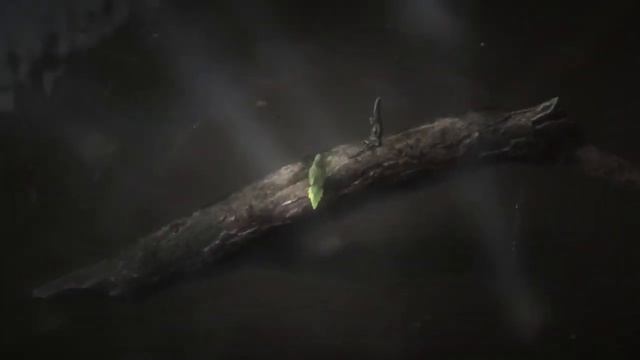 Metal Gear Solid Delta: Snake Eater Revealed for Xbox Series X, PS5, and PC смотреть онлайн