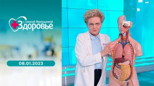 Здоровье. Выпуск от 08.01.2023