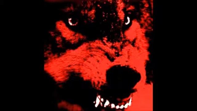 Primavera Acida - Zanussi