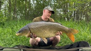 ловля карпа на дикаре с корабликом