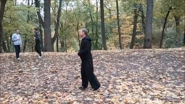 Владимир Амида: прямолинейные дорожки багуа чжан, форма и применения. смотреть онлайн