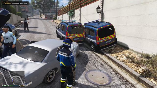 GTA-LSPDFR49#318 il fait demi tour pour venir nous percuter смотреть онлайн