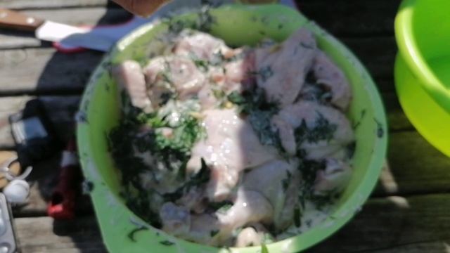 Куриный Шашлык. #повкусу #куриныйшашлык #шашлык #природа #мангал