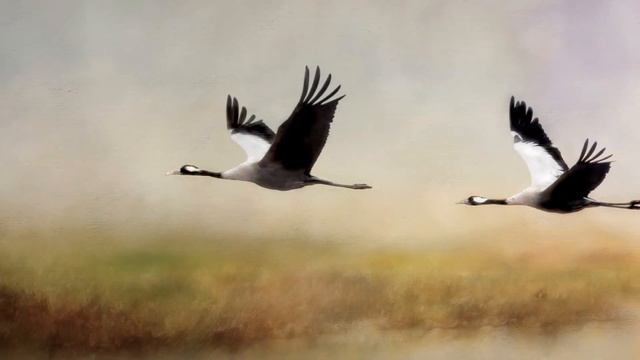 "Невидимые нити". смотреть онлайн