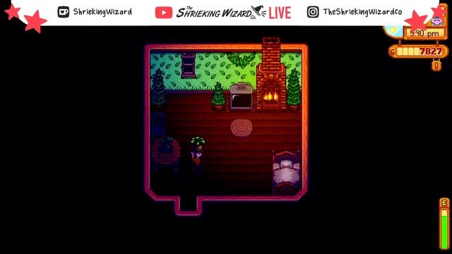 A Quest For Chickens! | Wizards Play Stardew Valley 1.5 Update! смотреть онлайн