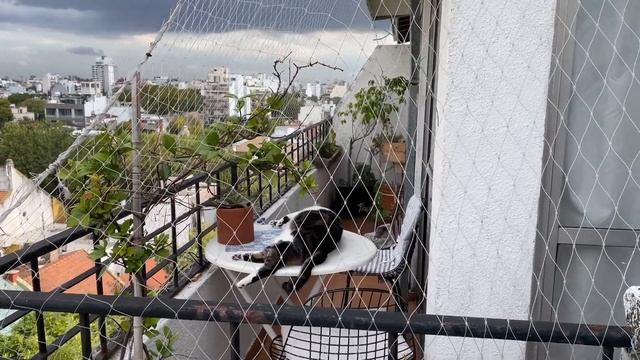 S02 E04 Все активные осенние процессы. Новинка Юлии Золотовой. Бискорню Faby Reilly смотреть онлайн