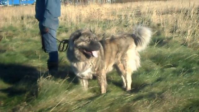 Варенька смотреть онлайн