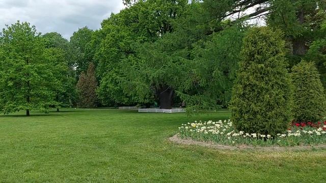 Елагин остров в Петербурге с Сергеем Нечаевым ! смотреть онлайн