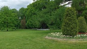 Елагин остров в Петербурге с Сергеем Нечаевым !