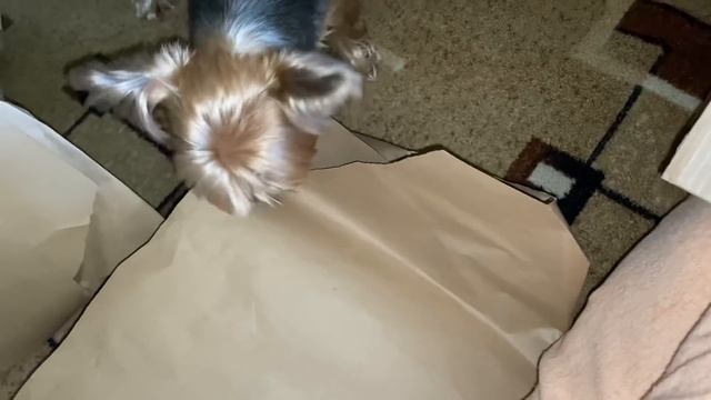 Я И БАБА И МУЖИК?СГОНЯЮ ЖИР!ПОКУПКИ ГАЛАМАРТ!МАКИЯЖ НОВИНКАМИ ? смотреть онлайн