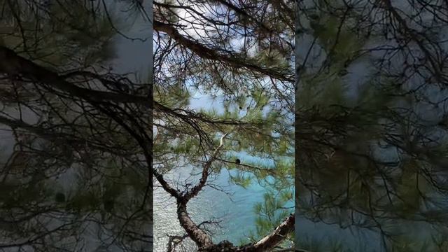 Дикий пляж Геленджика, Голубая бездна 🌊 смотреть онлайн