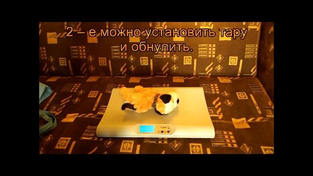 Электронные весы смотреть онлайн