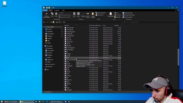 Cómo instalar el OpenJDK de Java 21 en Windows смотреть онлайн