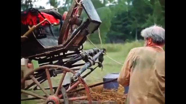 Отправляемся в прошлое | Тауранга, Новая Зеландия смотреть онлайн
