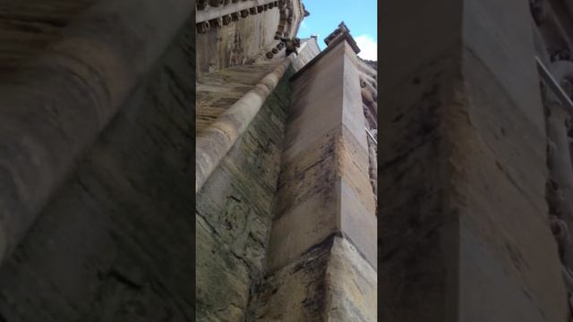 Оксфорд, вид с колокольни собора Св. Марии-2 смотреть онлайн