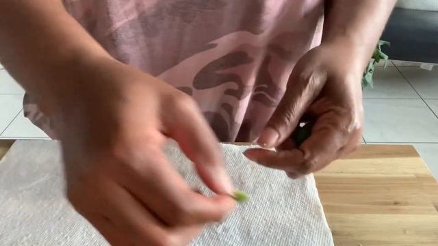 17: Harvesting TONS of Hesperaloe Parviflora (Red Yucca) Seeds! смотреть онлайн