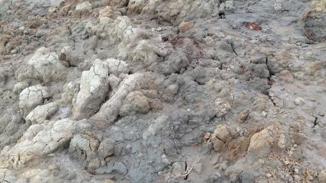 Розовая вода залива Сиваш источник смотреть онлайн