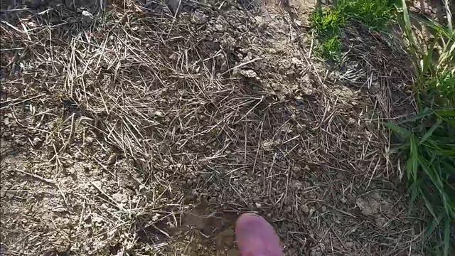 014 - Levei Minhas SUCULENTAS  PARA REPLANTAR NA ROÇA, Veja O RESULTADO!!!