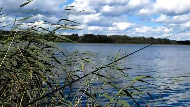 2015, июль, рыбалка на Вуоксе с Першиным смотреть онлайн