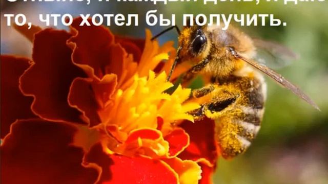 9 День из 21 Медитации на Изобилие - Закон Дарения. смотреть онлайн