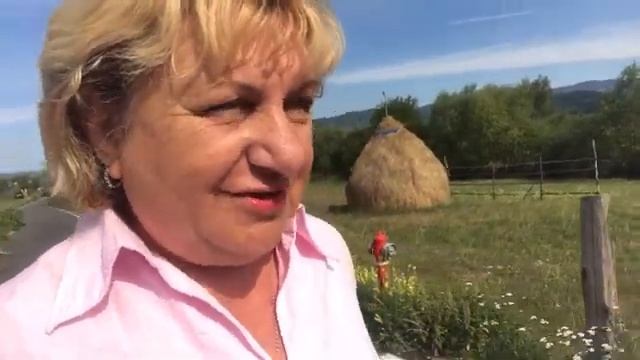 Лай собак … Как жить дальше ?? смотреть онлайн