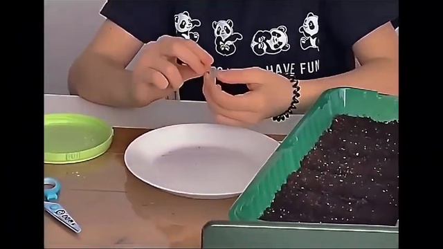 17 февраля 2024 г.