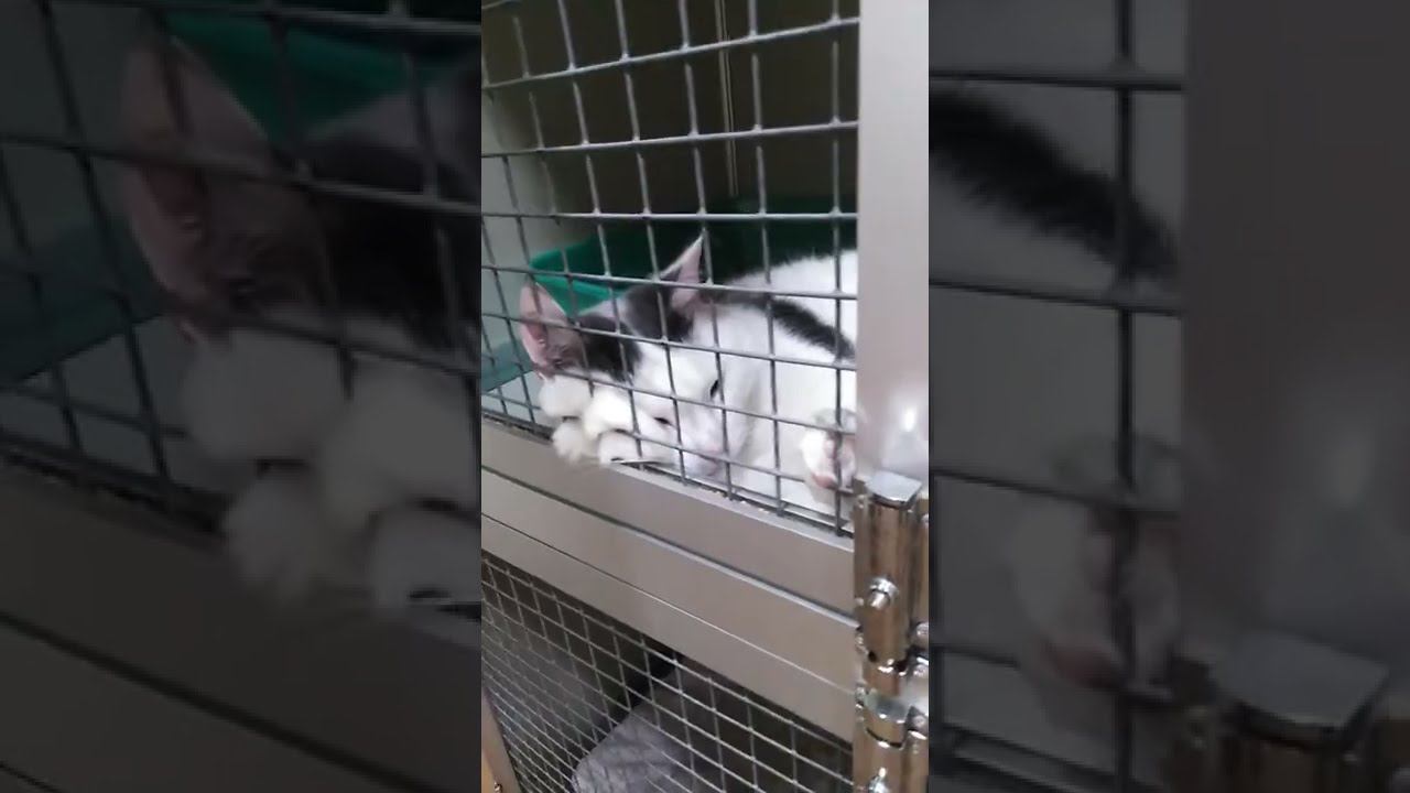 #сладенький