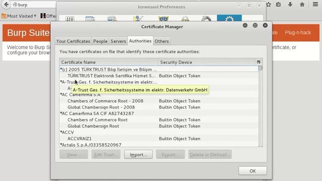 How To Fix Burpsuite Certificate Error (SOLVED) смотреть онлайн