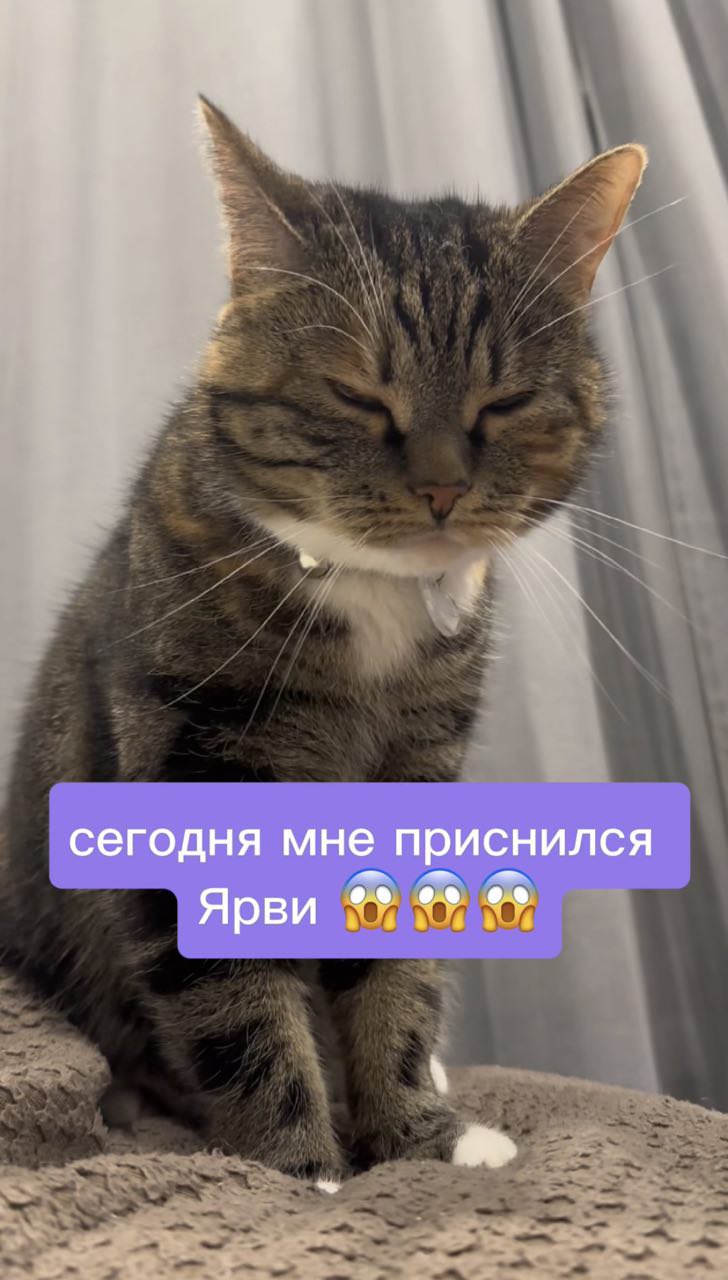 Сегодня мне приснился Jarvi...