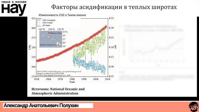 «Закисление вод Мирового океана и его последствия». Спикер: Александр Полухин смотреть онлайн
