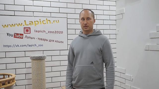ВЫБОР СОВРЕМЕННОЙ КОГТЕТОЧКИ В XXI ВЕКЕ смотреть онлайн