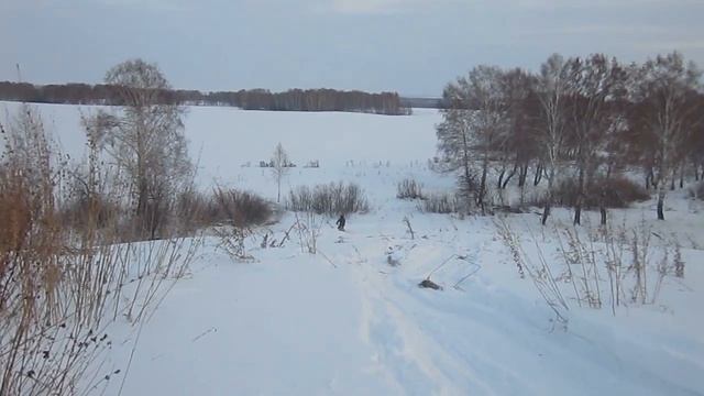 покатушки. DINGO T150 смотреть онлайн