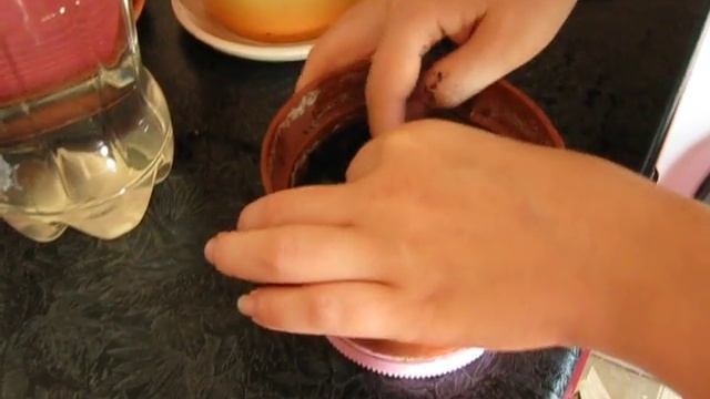 Как укоренить розу в домашних условиях смотреть онлайн