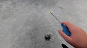 Первая рыбалка в жизни на безмотылку ! Сырный кубик !