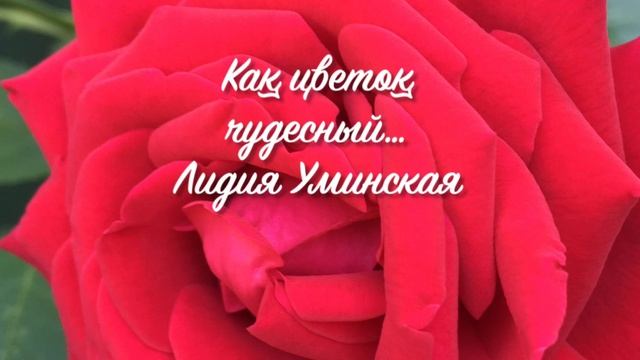 Как цветок чудесный… Стих читает Лидия Уминская смотреть онлайн