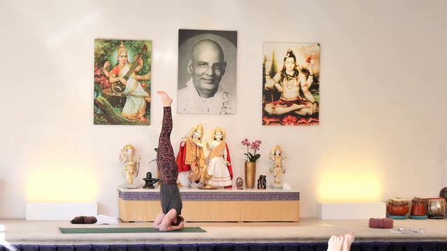 Yogastunde Mittelstufe "Chakrakonzentration" mit Felix - Yoga Vidya Live, 10.03.2022, 09:15 Uhr смотреть онлайн