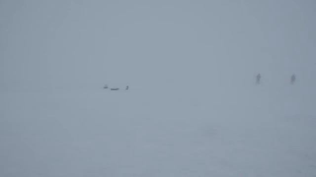 Зимняя рыбалка. Кама, Мурзиха. Туманище! Два берша. смотреть онлайн