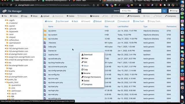 Manual Clone/Migrate A WordPress Website | Alamgir H Kobir смотреть онлайн