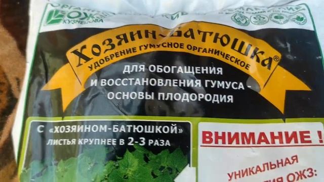 Сезон 2023 открыт ! Посадка томатов . Что добавляю в лунки смотреть онлайн