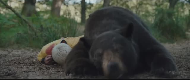 Трейлер фильма «Кокаиновый медведь» смотреть онлайн