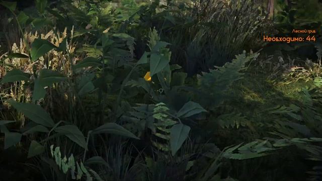Lumberjack’s Dynasty. Сбор грибов, помощь травнице, часть 2 смотреть онлайн