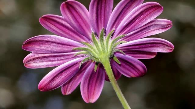 Слушать самую новую русскую песню о любви 2015 - слушат... смотреть онлайн