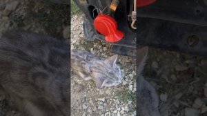 Как снять бампер и помыть радиаторы на примере Lada Kalina 2