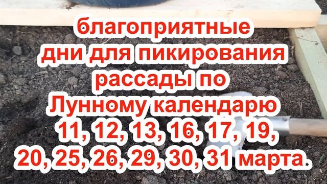 КОГДА СЕЯТЬ ТОМАТЫ В 2022 ГОДУ? Не спешить сеять слишком рано! Посев по лунному календарю! смотреть онлайн