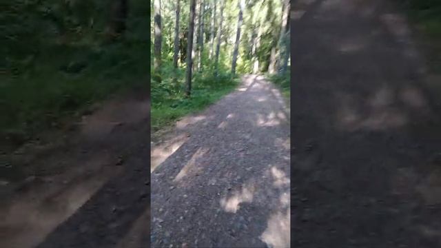 Репино, Пенаты Прощание Август 2020 г смотреть онлайн