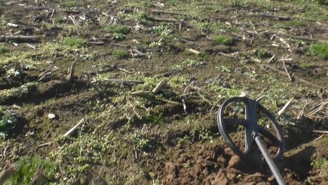 НЕ тронутое поле!!! Поиск монет и старины. смотреть онлайн