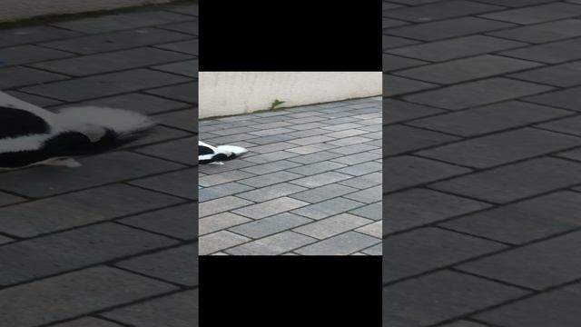 БЕНИТА смотреть онлайн