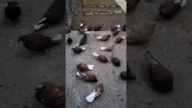 всем привет ,сегодня так смотреть онлайн
